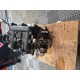 Moteur de F650 CS 01-05